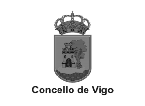 Newlink Education Concello de Vigo