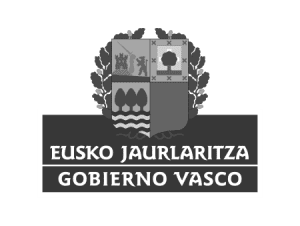Newlink Education Gobierno Vasco
