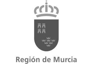 Newlink Education Región de Murcia