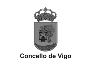 Newlink Education Concello de Vigo