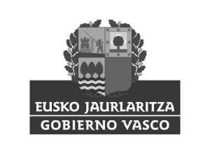 Newlink Education Gobierno Vasco