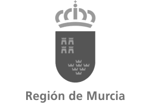 Newlink Education Región de Murcia